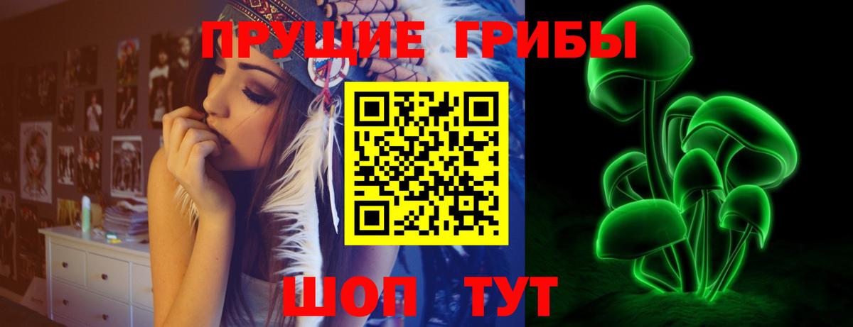 Псилоцибиновые грибы GOLDEN TEACHER  Галлюциногенные грибы прущие грибы  Сердобск  Вход с VPN 